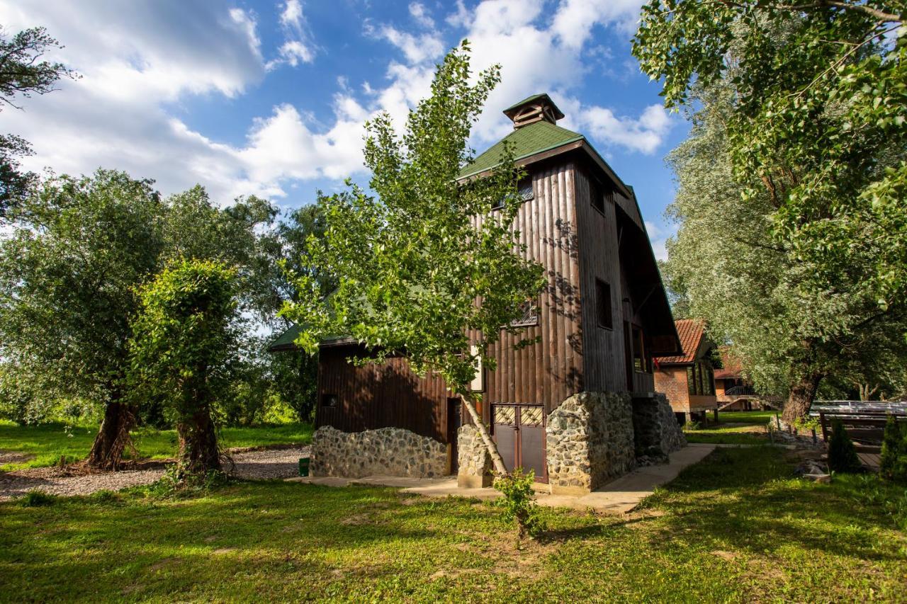 River House Vasa Belgrado Exterior foto