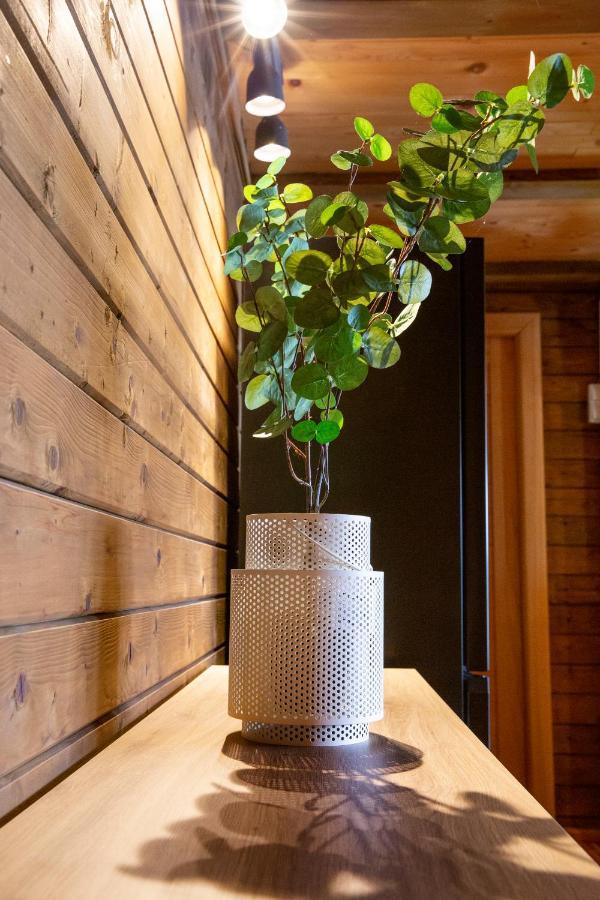 River House Vasa Belgrado Exterior foto